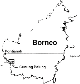 Ubicación del Parque Nacional Gunung Palung en Kalimantan Oeste, Borneo. Cortesía de Yayasan Palung.