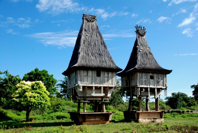 Casas tradicionales en Timor-Leste.