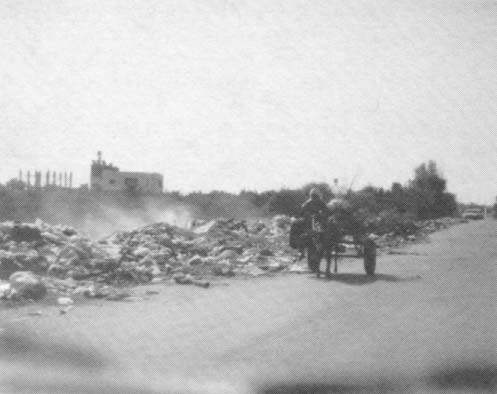 Garbage piled high in vacant lots on the outskirts of town in Gaza.