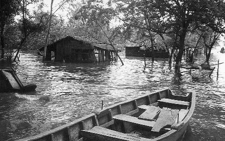 Hurricane Mitch devastated much of Central America, especally areas with extensive deforestation. But in the area of Los Chavalitos, where forest cover is conserved, the hurricane damage was minimal.