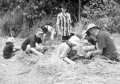 Hugh teaches a group of children how to plant rainforest trees.