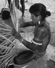 A Kayapo man weaving.