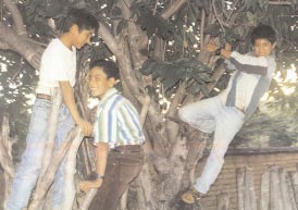 Jorge (center) and friends, before he was slain in the Ajoya Massacre.
