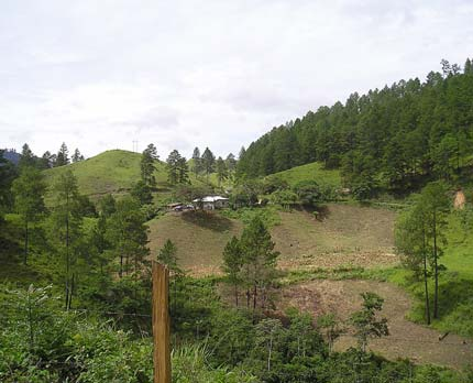 Although the countryside in Honduras along the Nicaragua border looks peaceful, landmines left over from the Contra War still spread fear and restrict the movements of the local people. New injuries still occur and many people have abandoned their farms and moved to city slums—or entered illegally into the USA.