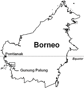 Location of Gunung Palung National Park in West Kalimantan, Borneo. Courtesy of Yayasan Palung.
