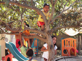 In the yard of the Shelter there are lots of playthings, slides and junglegyms. But what draws the children most are the trees, where they climb and test their skills, and develop together their own free will.