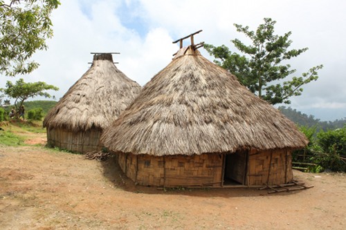 Homes made of split bamboo with thatch roofs.