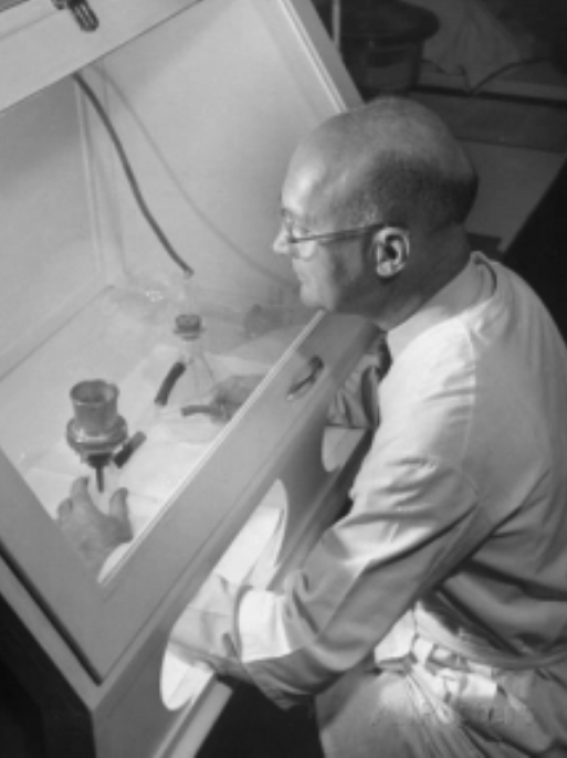 Dr. Herbert Stahnke preparing scorpion serum.