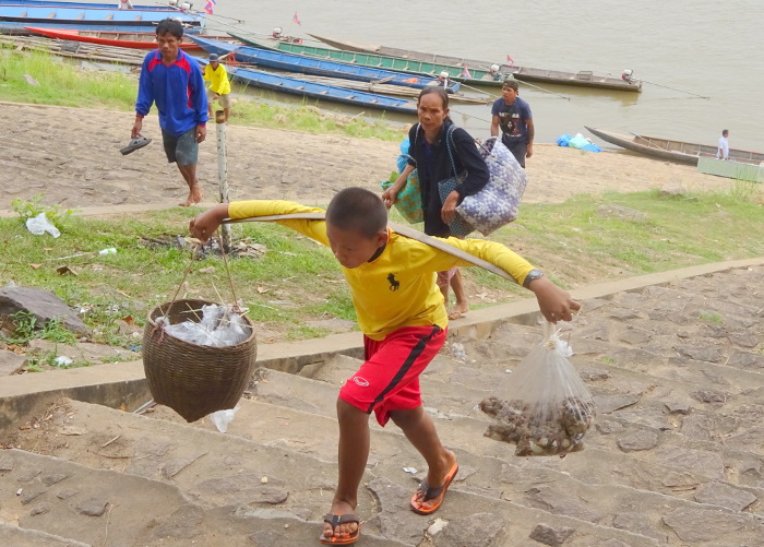 A Laotian boy brings live June-beetles and frogs into Thailand to peddle as exotic cuisine.